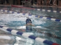 schulschwimmen_2015_-16