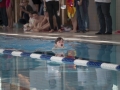 schulschwimmen_2015_-19