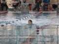 schulschwimmen_2015_-20
