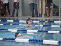 schulschwimmen_2015_-33