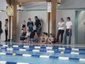 schulschwimmen_2015_-36