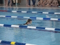 schulschwimmen_2015_-38