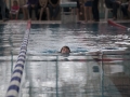 schulschwimmen_2015_-6