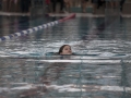schulschwimmen_2015_-8
