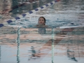 schulschwimmen_2015_-9